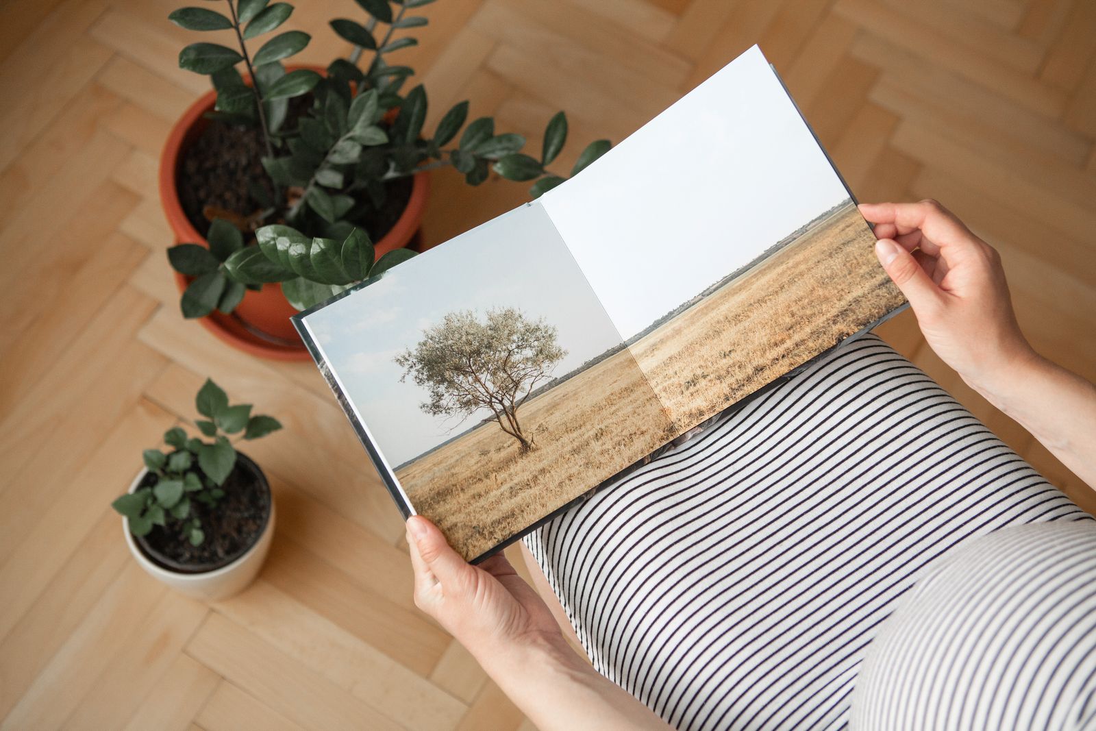Uma pessoa segura um fotolivro aberto numa fotografia de paisagem.