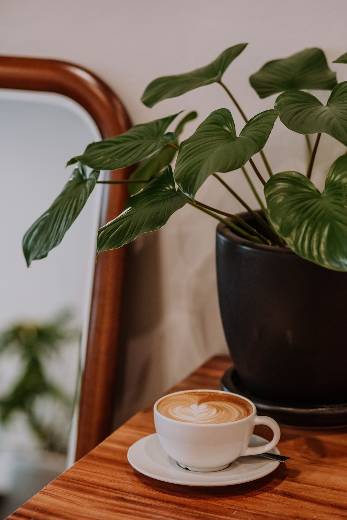 A cup of coffee with milk foam beside a plant